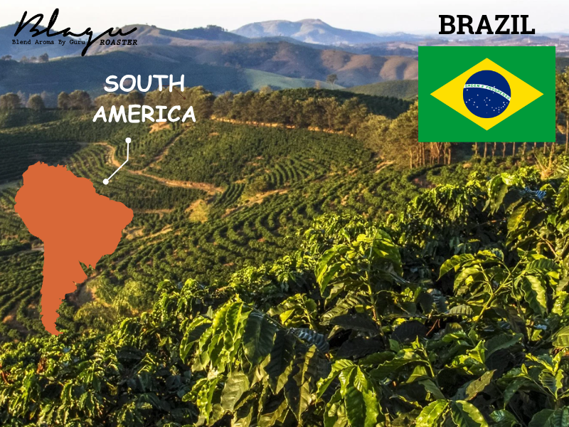 Brazil — The Land of Abundance