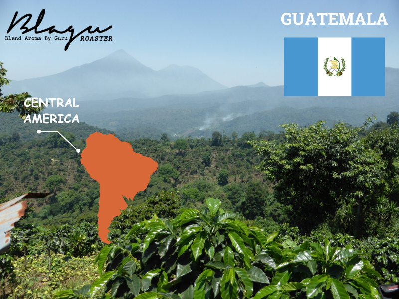 Guatemala — The Origins of Guatemalan Coffee