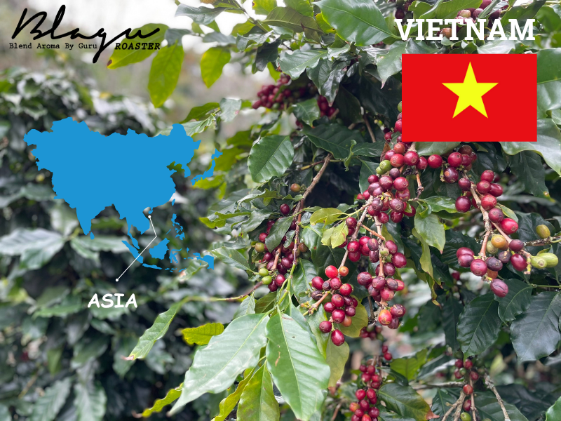 Vietnam — The Spirit of the Highlands