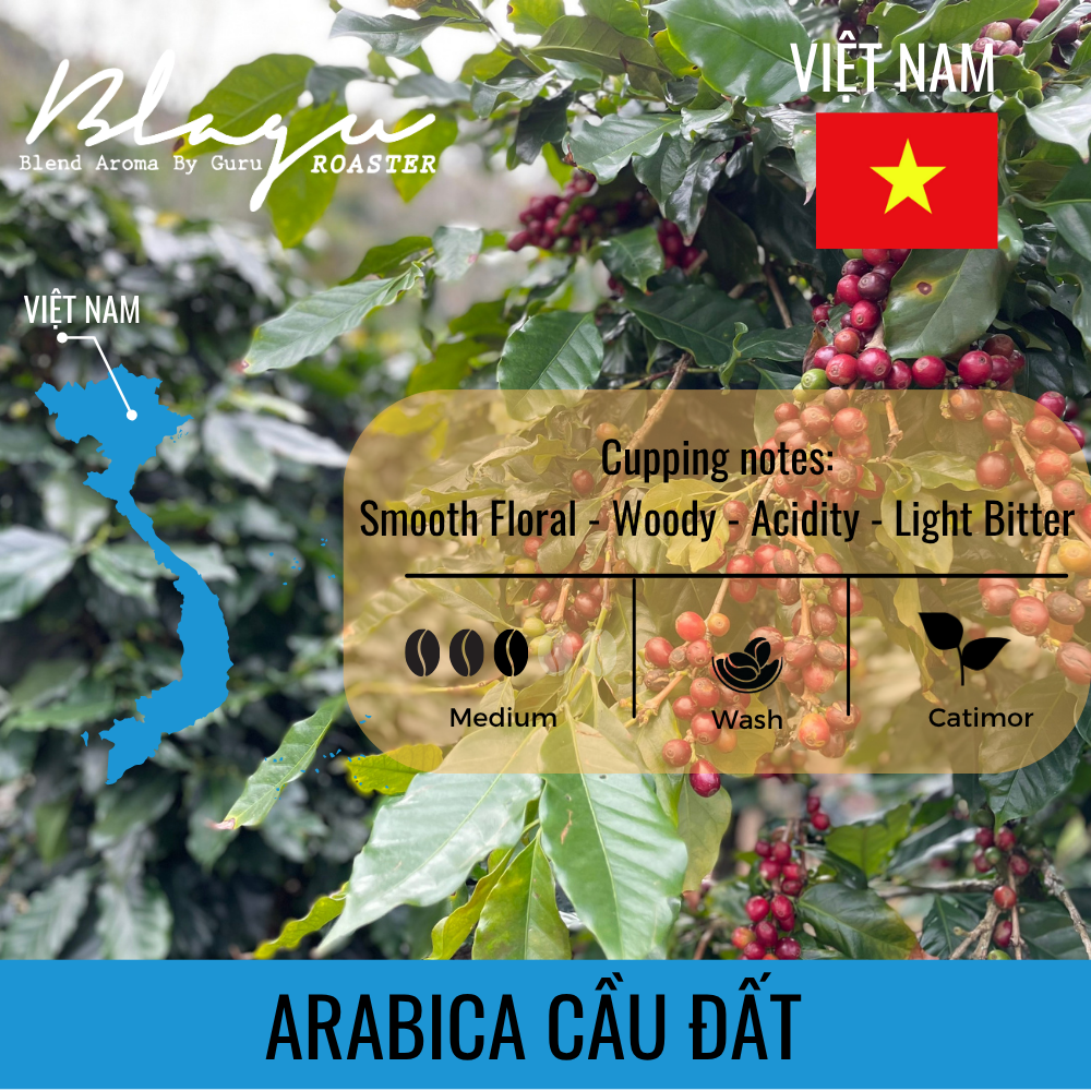 BLAGU Coffee Roasted Beans Arabica Cat Dat