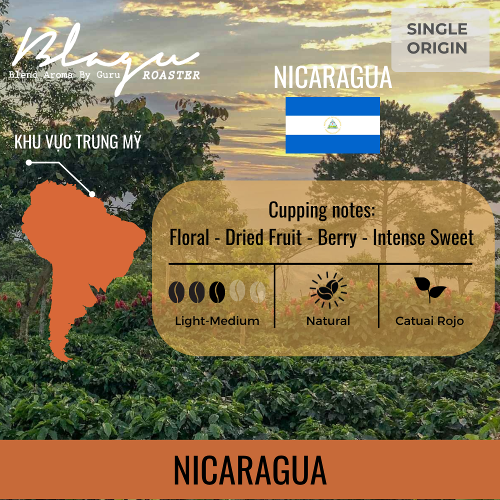 BLAGU Coffee Roasted Beans Nicaragua - Light Medium Roast - 250g