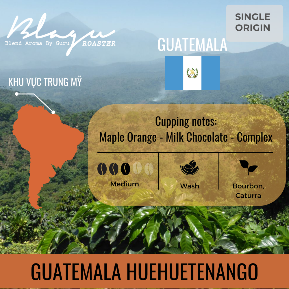 BLAGU Coffee Roasted Beans Guatemala Huehuetenango - Medium - 250g