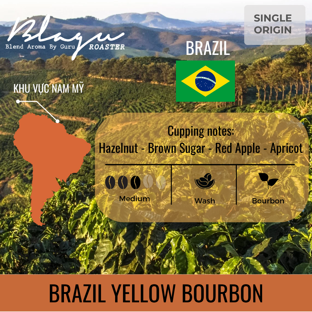 BLAGU Coffee Roasted Beans Brazil Yellow Bourbon