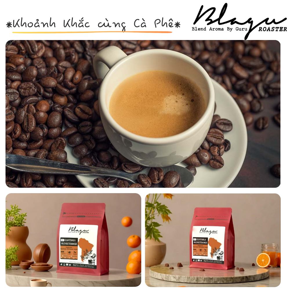 BLAGU Coffee Roasted Beans Guatemala Huehuetenango - Medium - 250g