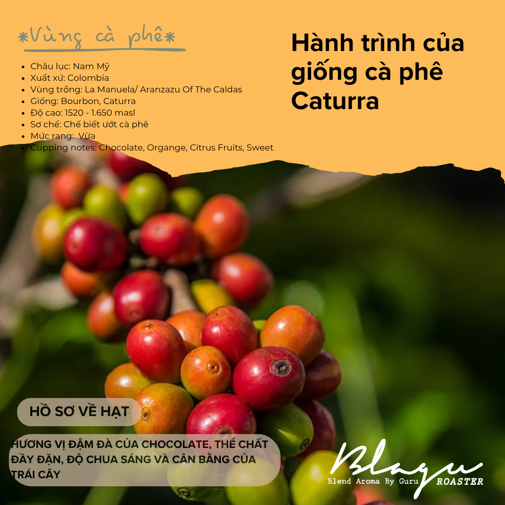 BLAGU Coffee Roasted Beans Colombia Supremo – 250g