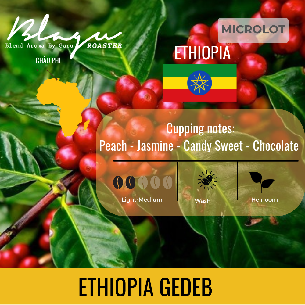 BLAGU Coffee Roasted Beans Ethiopia Gedeb – Light Medium Roast – 250g