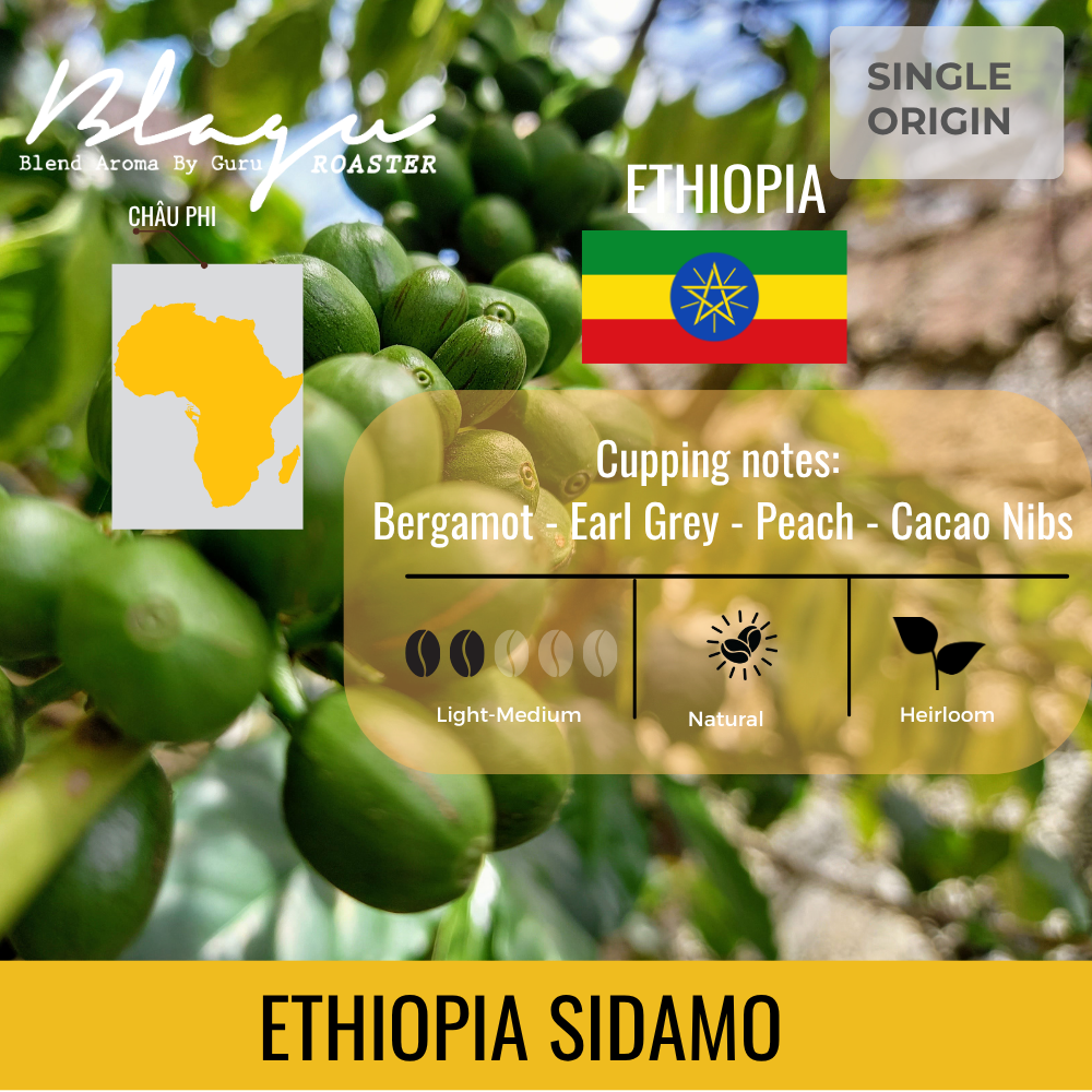 BLAGU Coffee Roasted Beans Ethiopia Sidamo – Light Medium Roast – 250g