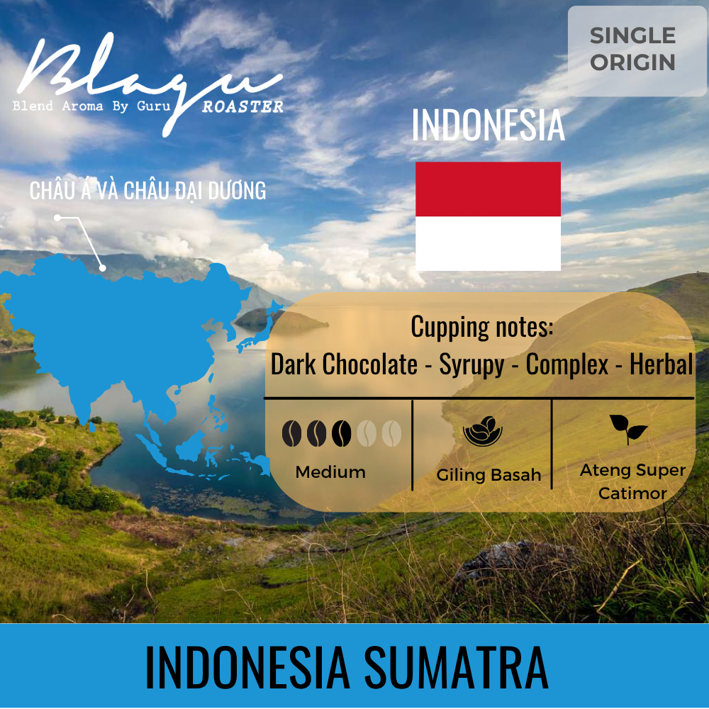 BLAGU Coffee Roasted Beans Indonesia Sumatra – Medium Roast – 250g