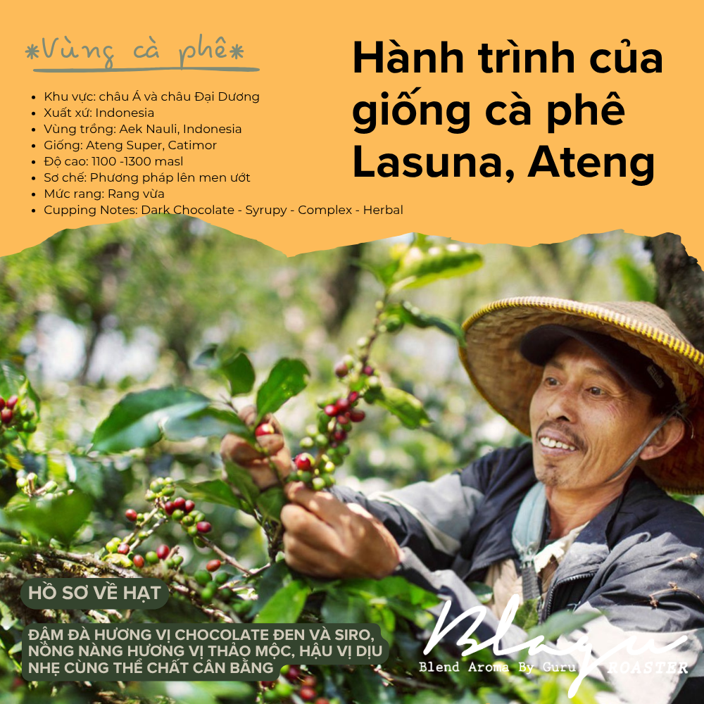BLAGU Coffee Roasted Beans Indonesia Sumatra – Medium Roast – 250g