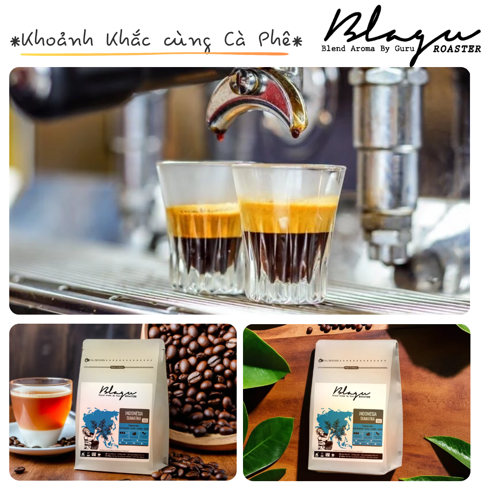 BLAGU Coffee Roasted Beans Indonesia Sumatra – Medium Roast – 250g