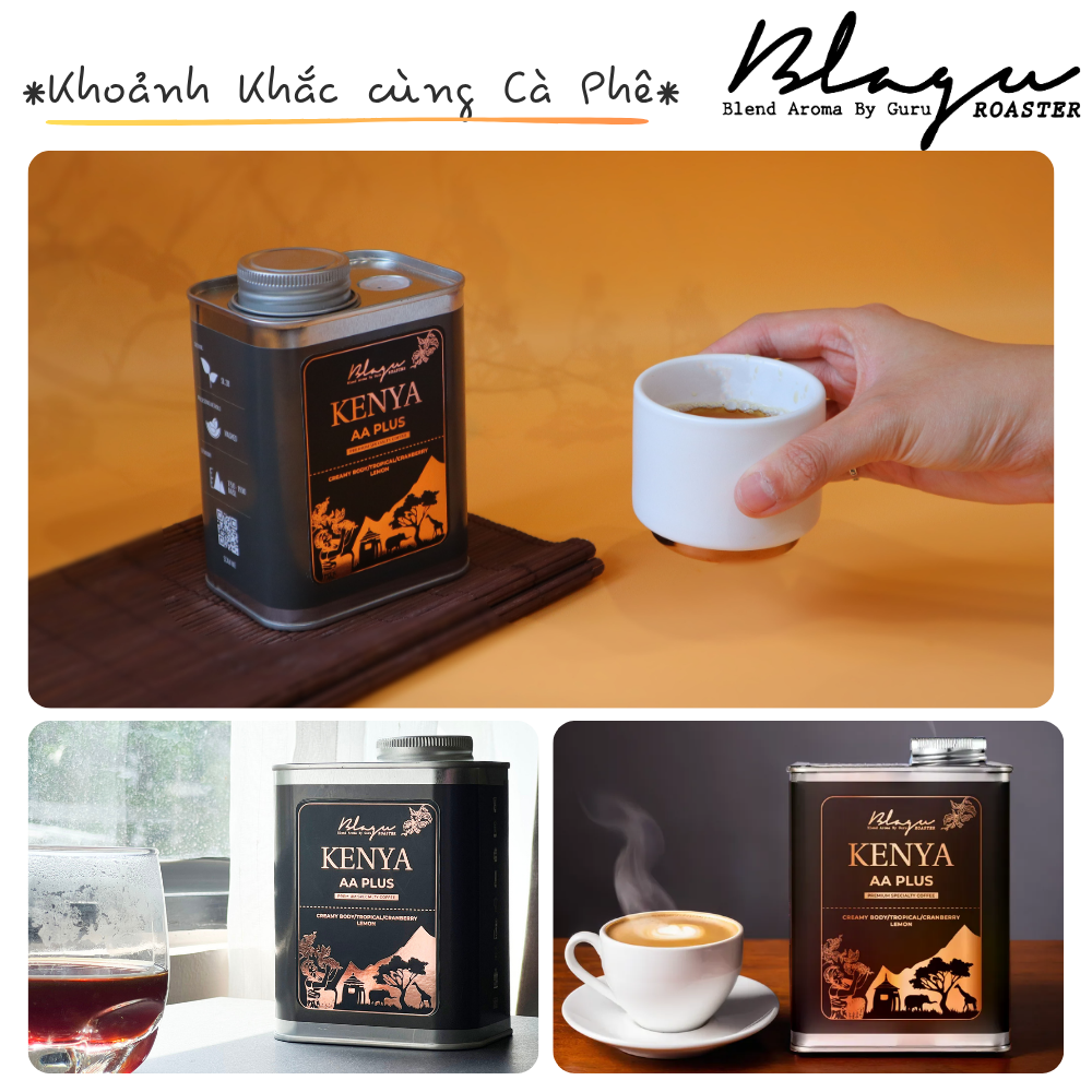 BLAGU Roasted Bean Kenya AA Plus - Light Medium - 250g