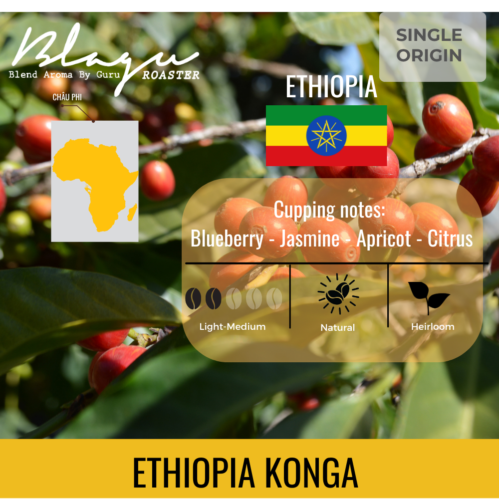 BLAGU Coffee Roasted Beans Ethiopia N. Konga – Light–Medium Roast – 250g