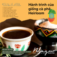 BLAGU Coffee Roasted Beans Ethiopia Yirgacheffe - Light Medium Roast - 250G