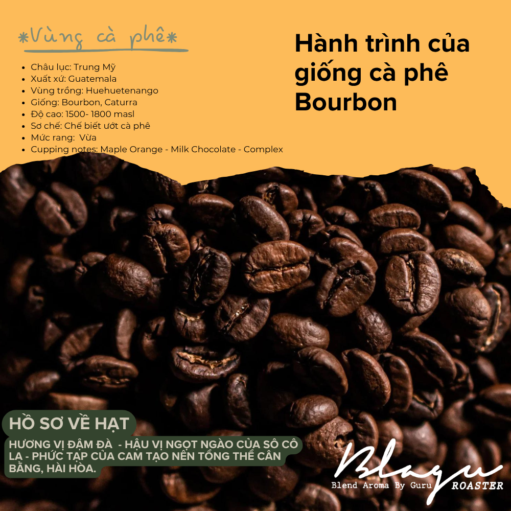 BLAGU Coffee Roasted Beans Guatemala Huehuetenango - Medium - 250g