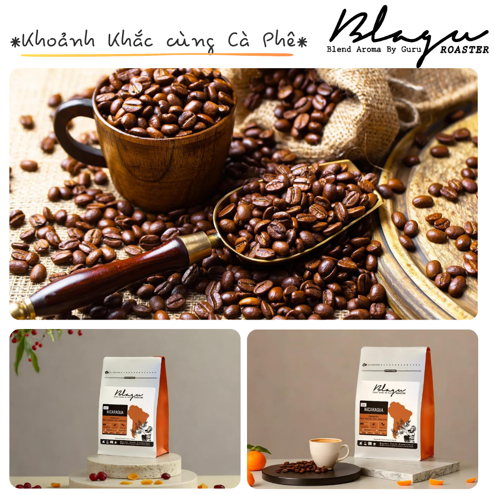 BLAGU Coffee Roasted Beans Nicaragua - Light Medium Roast - 250g