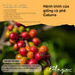 BLAGU Coffee Roasted Beans Colombia Supremo – 250g