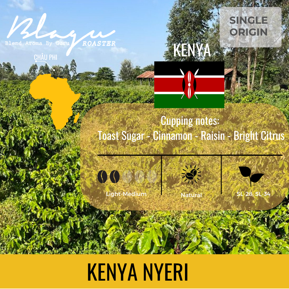 BLAGU Coffee Roasted Beans Kenya Nyeri Chiga – Light Medium Roast – 250g
