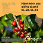 BLAGU Coffee Roasted Beans Kenya Nyeri Chiga – Light Medium Roast – 250g