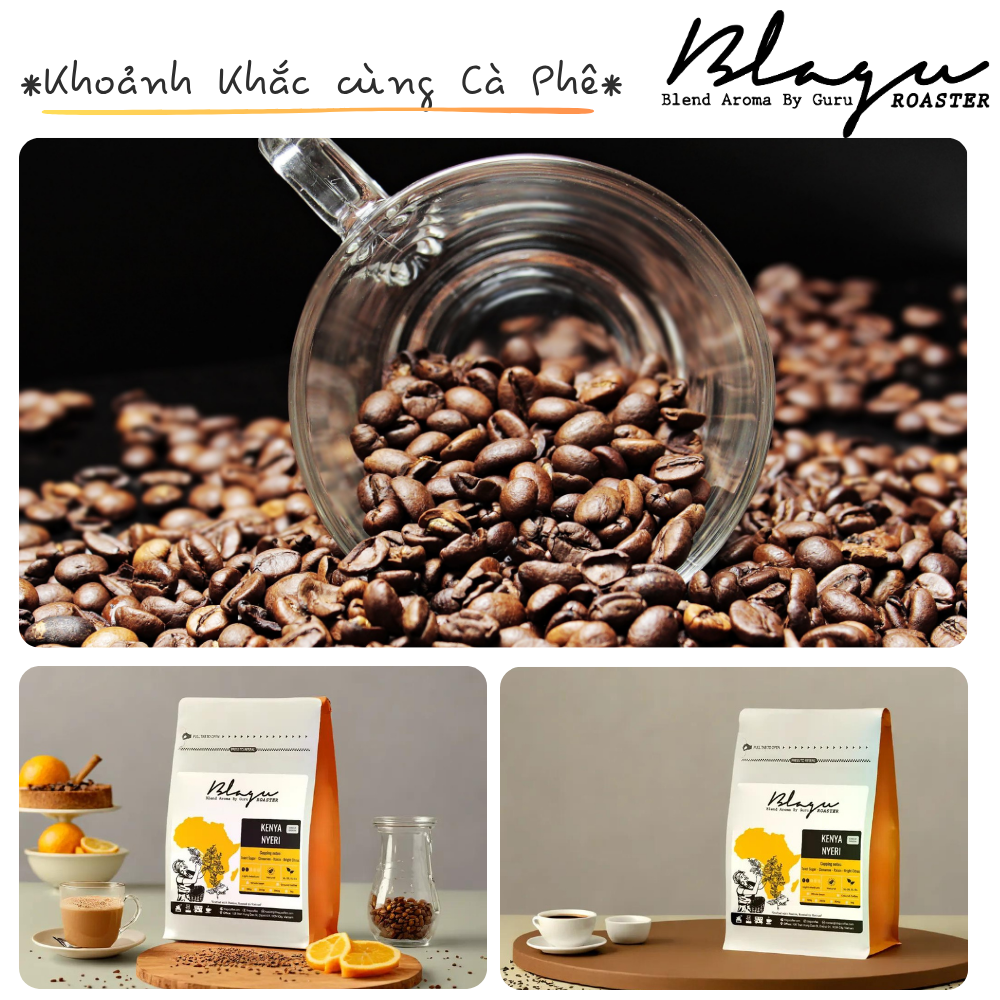 BLAGU Coffee Roasted Beans Kenya Nyeri Chiga – Light Medium Roast – 250g