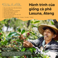 BLAGU Coffee Roasted Beans Indonesia Sumatra – Medium Roast – 250g