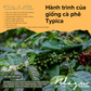 BLAGU Coffee Roasted Beans Papua New Guinea   - Medium Roast - 250g