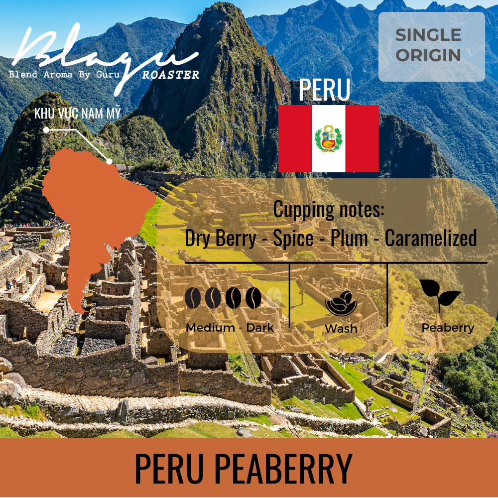 BLAGU Coffee Roasted Beans Peru Peaberry – Medium Dark Roast – 250g