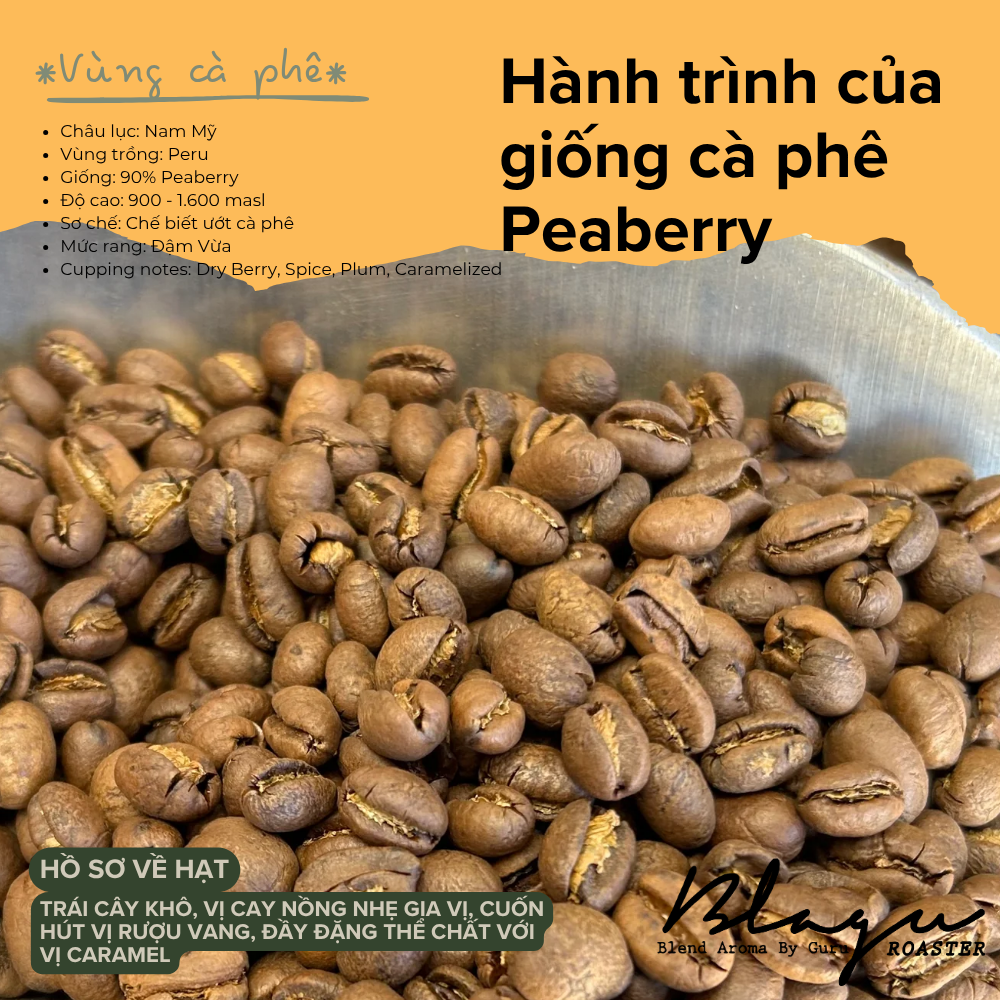 BLAGU Coffee Roasted Beans Peru Peaberry – Medium Dark Roast – 250g