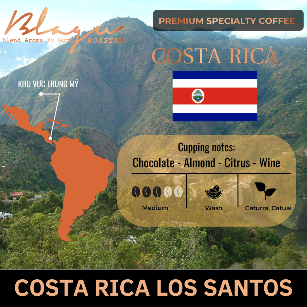 BLAGU Coffee Roasted Beans Costa Rica Los Santos - Medium Roast - 250g