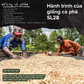 BLAGU Roasted Bean Kenya AA Plus - Light Medium - 250g