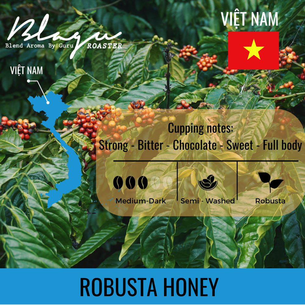 BLAGU Coffee Roasted Beans Robusta Honey