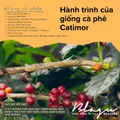 BLAGU Roasted Bean Arabica Cầu Đất - 250g 6
