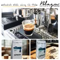 BLAGU Roasted Bean Espresso - Darkness Espresso - 500gr 8