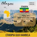BLAGU Roasted Bean Ethiopia Guji Hambela - 250gr 4