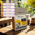 BLAGU Roasted Bean Ethiopia N.Konga - 250g 10