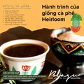 BLAGU Roasted bean ETHIOPIA W.YIRGACHEFFE - 250g 5