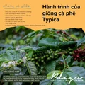 BLAGU Roasted Bean Papua New Guinea PNG Y1 - 250g 6
