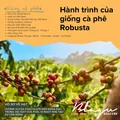BLAGU Roasted Bean Robusta Honey - 250g 6