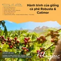 BLAGU Roasted Bean Việt Nam Pha Phin - 500g 6