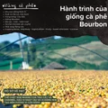 [Premium] BLAGU Roasted Bean Bourbon Vietnam - 250g 6
