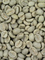 Whole sale coffee Blagu green bean